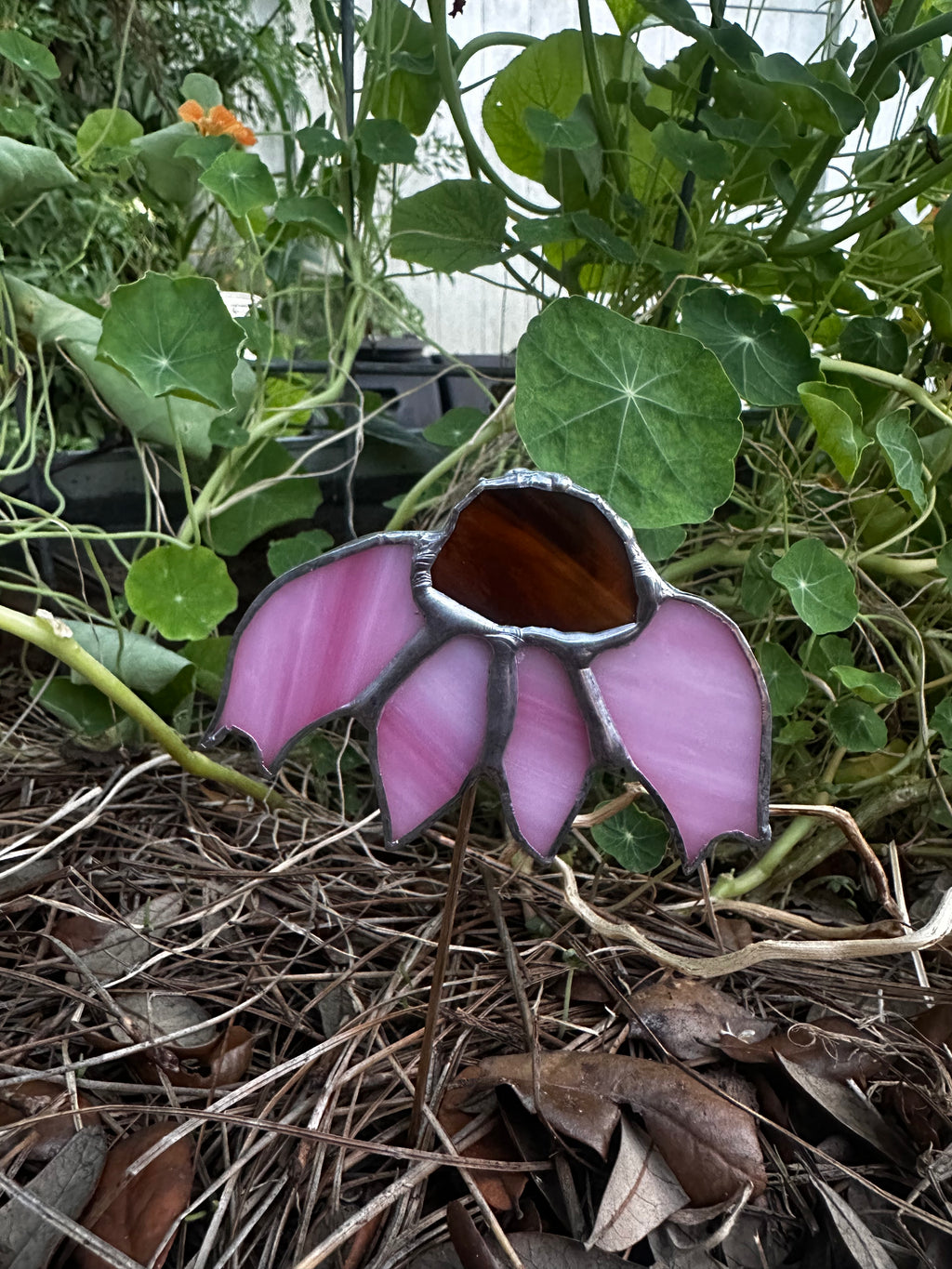 Coneflower Plant Stake