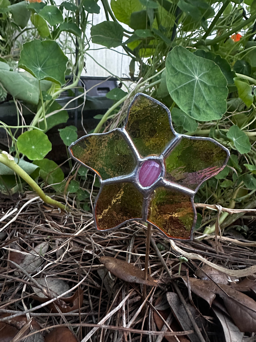 Flower Plant Stake with Glowing Center