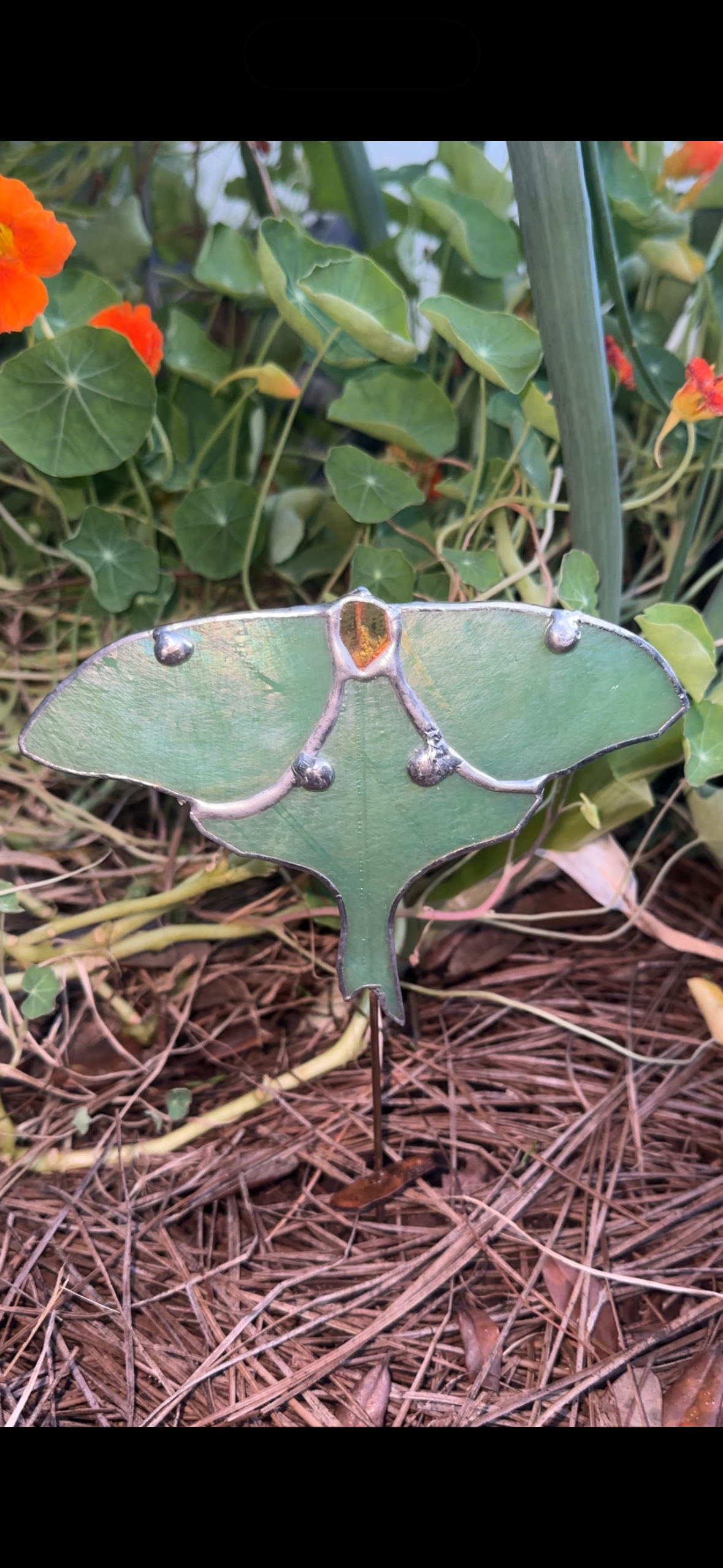Luna Moth Plant Stake