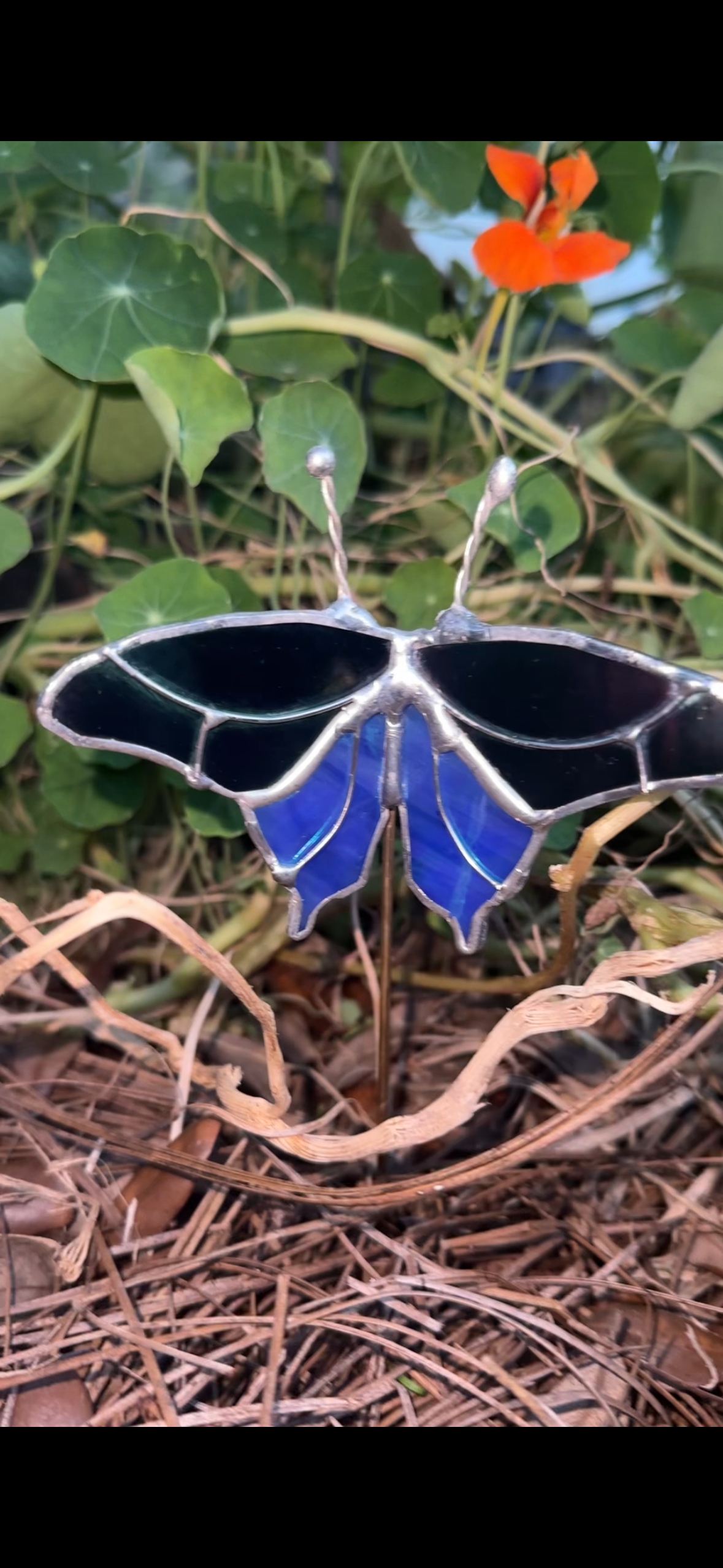 Butterfly Plant Stake