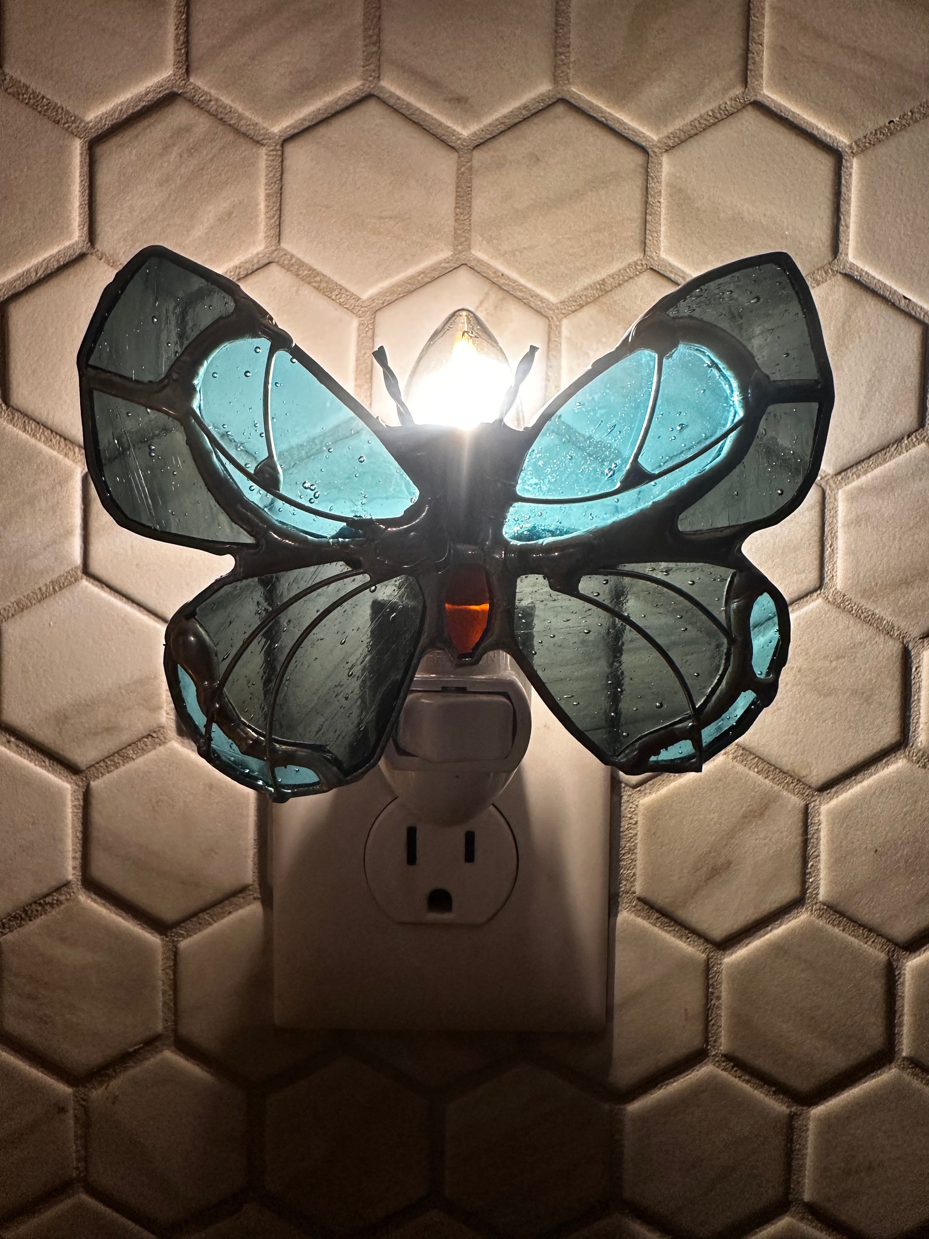 Atala Butterfly Night light
