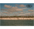Driftwood Beach 5x7 Print