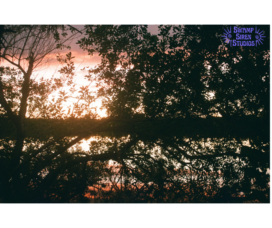 Everglades Sunset 5x7 Print