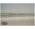 Florida Barrier Island 5x7 Print