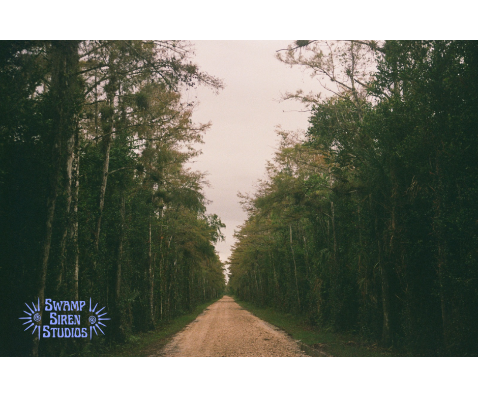 Trail to Nature 5x7 Print